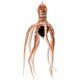 Mustad Ink Vader Octopus Baits - Reef - 60g/ 2oz