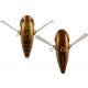 Atomic Hardz Slappa 90mm Lures - Brown Cicada