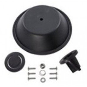 Kit includes diaphragm and valves