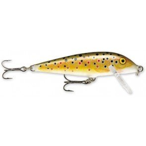 TR - Brown Trout