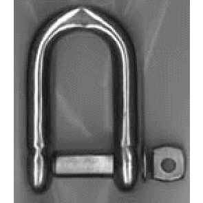 D Shackles Stainless Steel